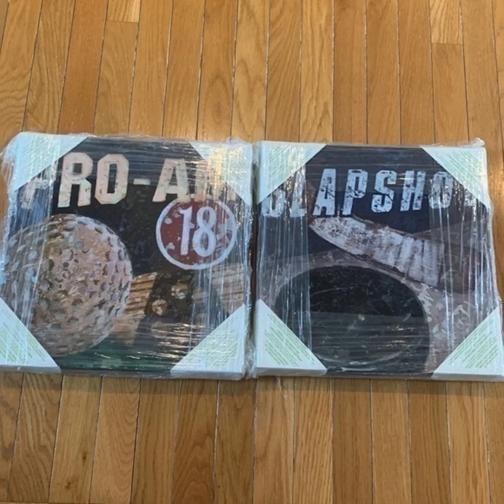 New Oopsy Daisy Slapshot & ProAm Racing Canvas Picture Wall Art 14” Square NWT